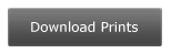 download prints